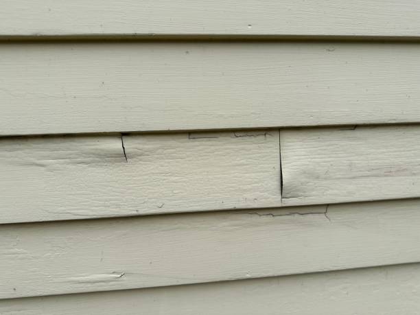 ### Siding for Commercial Buildings